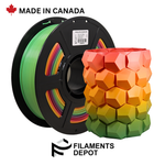 Filaments Depot Gradient PLA Tricolor  - 1.75mm 1kg