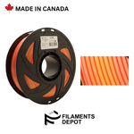 Filaments Depot Soie Dégradé PLA - 1.75mm 1kg Couleurs Assorties